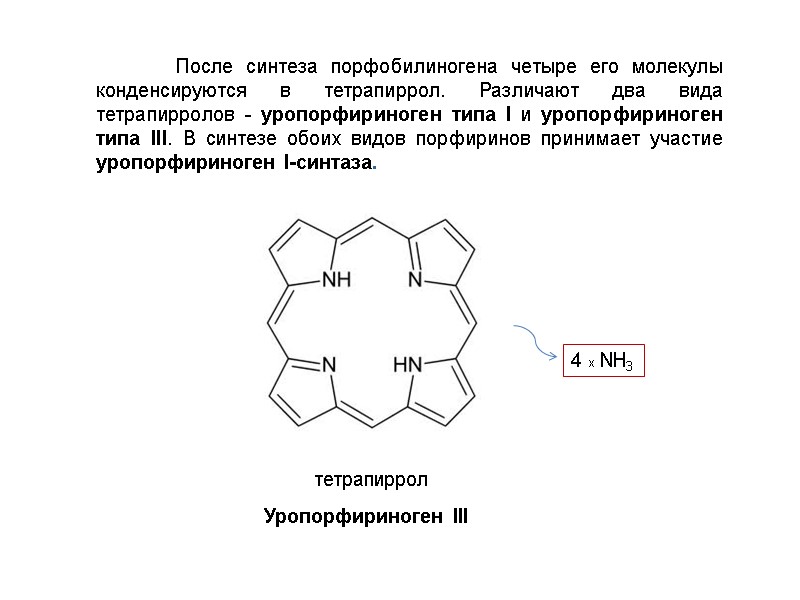 После синтеза порфобилиногена четыре его молекулы конденсируются в тетрапиррол. Различают два вида тетрапирролов -